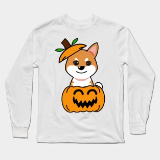 Funny orange dog is in a pumpkin Long Sleeve T-Shirt